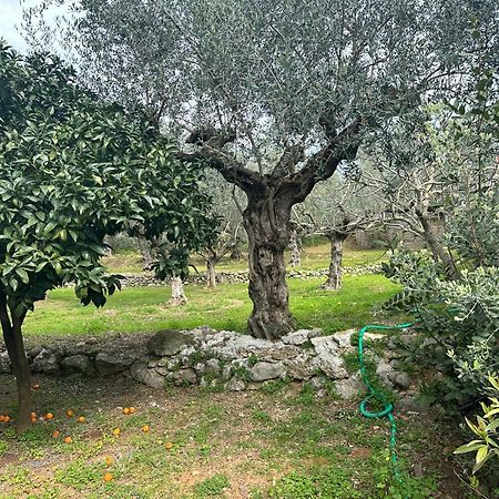 קלמאטה Chic Apartment In Nature, 5-Min Walk To The Beach מראה חיצוני תמונה