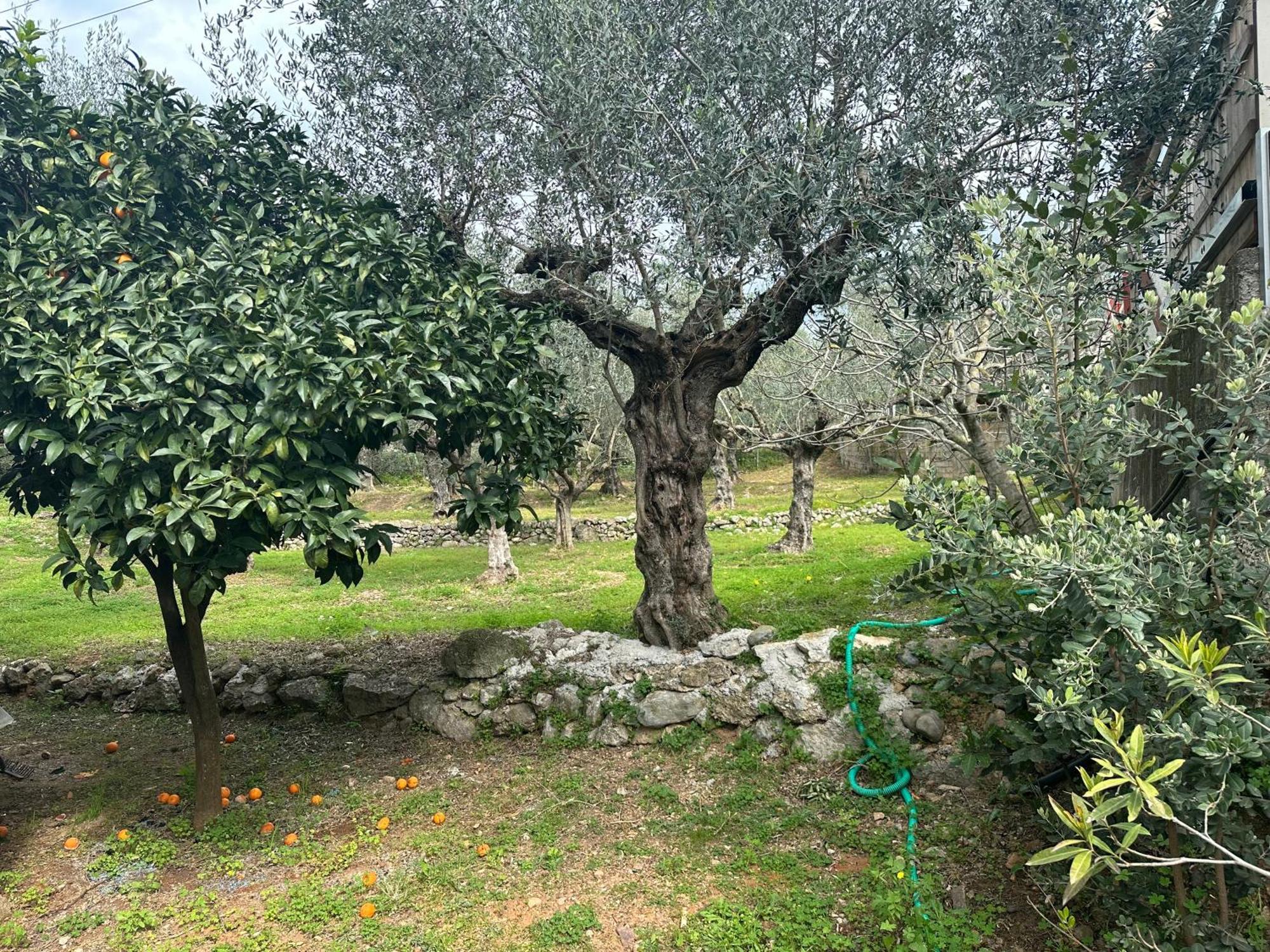 קלמאטה Chic Apartment In Nature, 5-Min Walk To The Beach מראה חיצוני תמונה